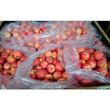 Sweet Chinese FUJI Apples